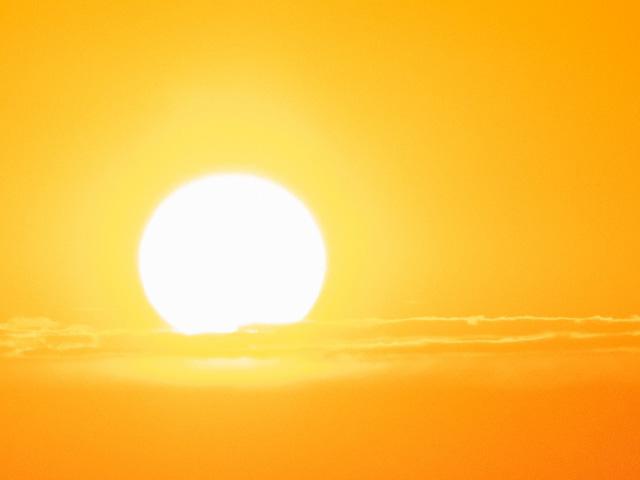 Multiple feedlots in Kansas were hit by a string of high temperatures this week, resulting in the loss of thousands of head due to heat stress. (Public domain photo)