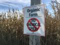 A Minnesota farmer pleaded guilty to one count of wire fraud in an organic crops case. (DTN file photo)