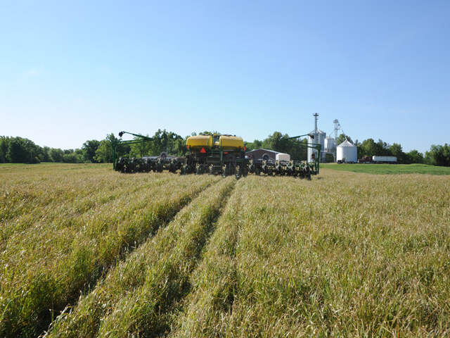 Some cover crops, like the annual ryegrass on this Kentucky field, may be in short supply this year thanks to a drought on the West Coast. (DTN photo by Pamela Smith