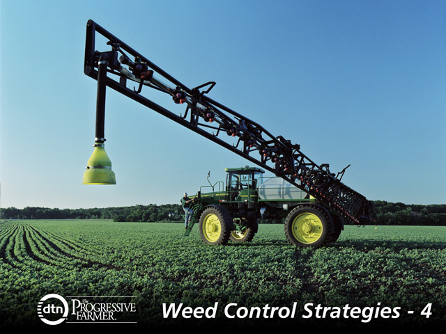 The key to tackling tough-to-control weeds is not to rely on postemergence sprays only. Early use of residuals helps keep the field clean. (DTN photo by Jim Patrico)