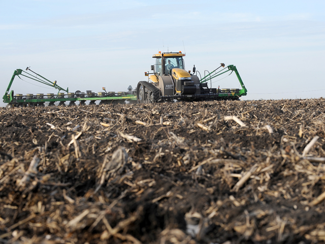 Continuous Corn Penalty