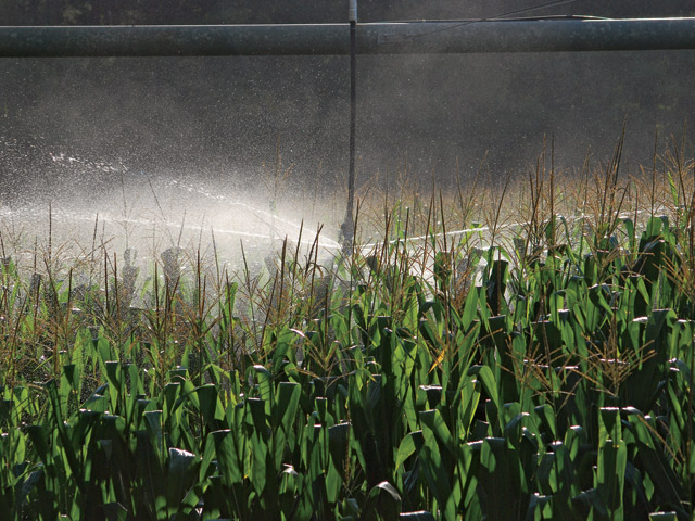 (Progressive Farmer photo by Boyd Kidwell)