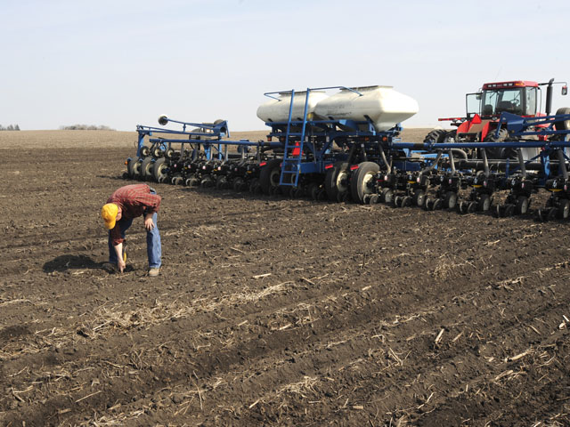The temptation to plant shallow can lead to rootless or floppy corn problems. (DTN photo by Pamela Smith)