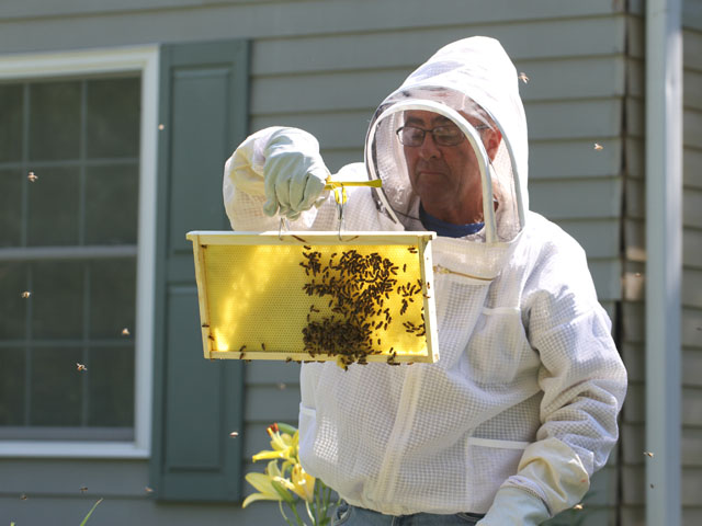 Beekeeping groups have filed a legal challenge to EPA&#039;s approval of the insecticide sulfoxaflor. (DTN/Progressive Farmer photo by Pam Smith) 