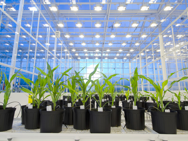 Syngenta opens a new crop lab aimed at growing crops with less inputs in Research Triangle Park outside of Raleigh, N.C. (Photo courtesy of Syngenta)