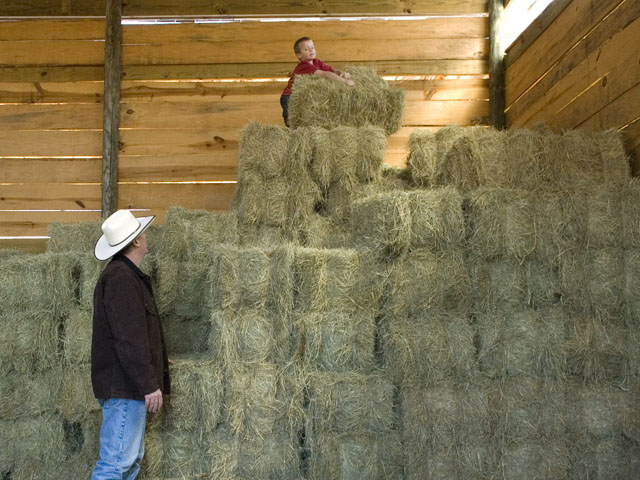 Square hay bales and working with dad are deeply imbedded in the memories of many farm kids. (DTN/The Progressive Farmer photo by Anna Mazurek)