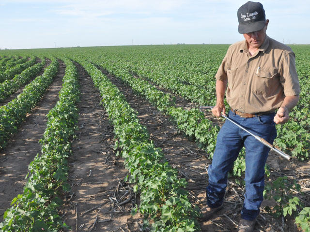 Soil testing techniques are changing as some laboratories switch to a wet test for measuring potassium needs in soil. (DTN photo by Todd Neeley)