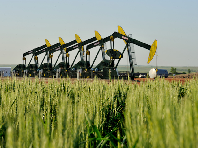 http://cmsappprod01/netpub/server.np?original=12484&amp;site=DTN&amp;catalog=catalog (Progressive Farmer photo by Jim Patrico)