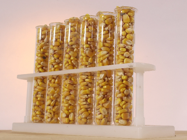 The seeds of tomorrow are coming from the test tubes of today. (DTN/The Progressive Farmer photo by Jim Patrico)