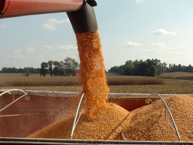 Demand for U.S. corn and soybean supplies has to stay strong if either market wants to stave off likely harvest pressure from what is expected to be record production. (DTN/The Progressive Farmer file photo by Jim Patrico)