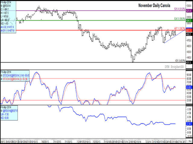 After reaching a double bottom in February of $431.50/mt, November canola has posted an 11.3% rise to Friday's close of $480.20/mt. Recent trade could be viewed as forming an ascending triangle pattern, bound by the rising blue trend line and the horizontal red line which represents the 38.2% retracement of the move from the contract high to the February low. Momentum is trending cautiously higher (second study), while the lower study indicates a neutral stance on the part of commercial traders. (DTN graphic)
