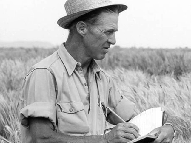 One of the most iconic images of Nobel Peace Prize Laureate Norman Borlaug (1914-2009). Borlaug&#039;s legacy is often debated by critics of the Green Revolution. A new documentary on PBS looks at Borlaug&#039;s work and life. (Photo courtesy of USDA) 