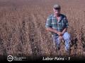North Dakota&#039;s Chris Johnson regularly recruits part-timers from a nearby two-year technical school. (DTN file photo by Dan Davidson)