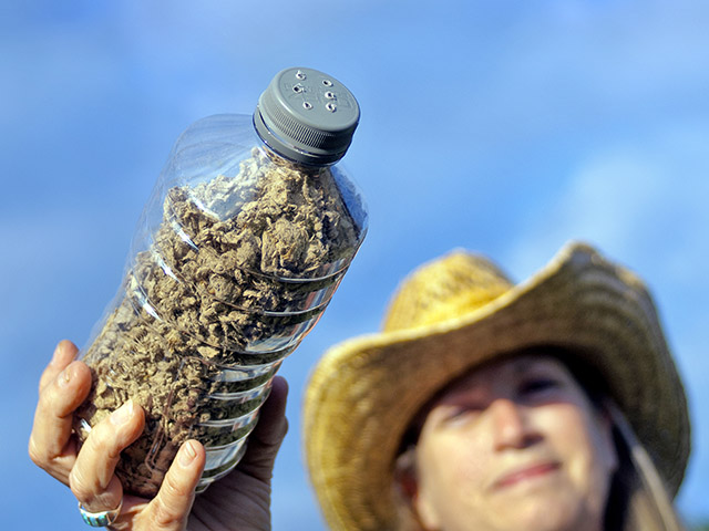 Sandra Marvel sells dung beetles from her family&#039;s ranch in High Springs, Fla., to operations across the U.S. The beneficials can help ranchers increase carrying capacity and improve forages. (DTN/Progressive Farmer photo by John Coletti)
