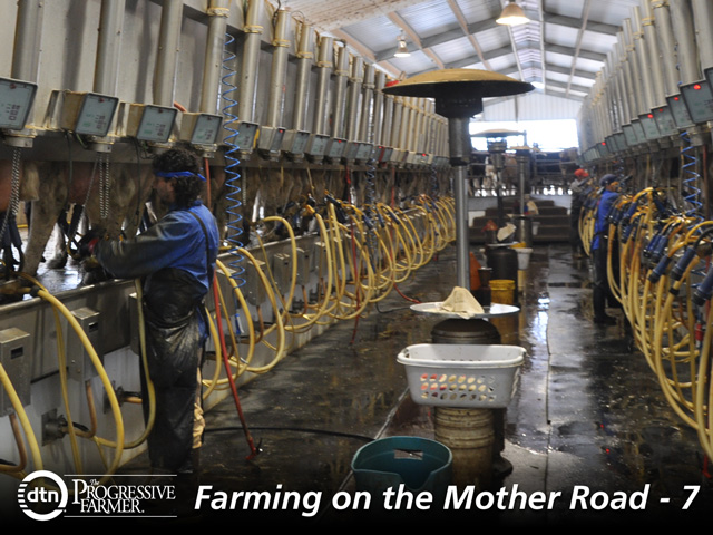Luke Woelber, 36, and his father John built a 2,700-head dairy in 2005 south of Belen, N.M., just east of the Rio Grande Valley. The Woelbers also are growing hay on an irrigated farm near Moriarty, N.M. (DTN photo by Chris Clayton)