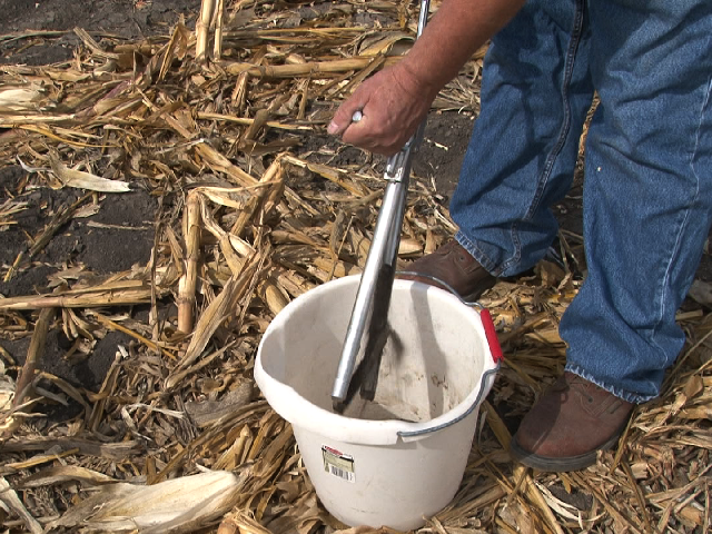 Fall is a good time to test for soybean cyst nematode in soybean fields or fields that will be planted to soybeans the following year. (DTN photo by Nick Scalise)