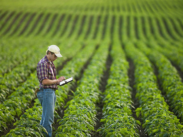 (Progressive Farmer image by AgStock Images/R. Hamilton Smith)