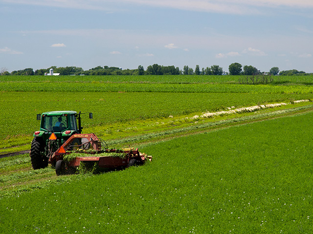 Excessive rains with little dry weather in between and muddy field conditions have left many growers far behind their normal alfalfa cutting schedule, according to Bruce Anderson, professor of agronomy at the University of Nebraska-Lincoln. (Photo by David L. Hansen)