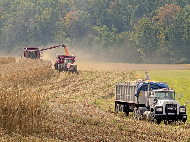 Proposed rules on Section 199A offer farmers a way to maximize tax deductions while avoiding some self-employment tax. But for non-operating landowners, there are important factors to consider. (Progressive Farmer photo by Tom Gralish)