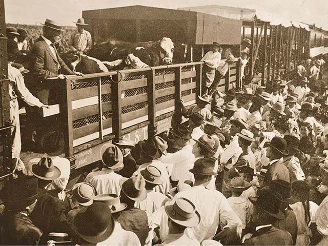 This is the so-called "corn and hog special," a train once used to take Extension lessons to the rural areas of Louisiana. (Progressive Farmer image by LSU Hill Memorial Library)