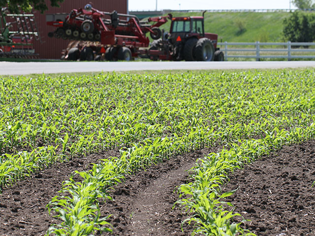 Can a dose of sugar kick start your crop? Yield contest growers swear by it, but the research is less conclusive. (DTN photo by Pamela Smith)