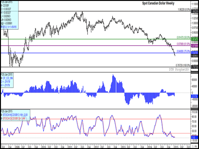 Electronic trade in the spot Canadian dollar shows the exchange rate down close to a full cent in today's trade to $.8266 CAD/USD, the lowest levels since April 2009. The middle study represents a histogram of the net noncommercial position, which has grown increasingly bearish over the past three weeks. The weekly stochastic indicators (lower study) remain deeply oversold. (DTN graphic by Nick Scalise)