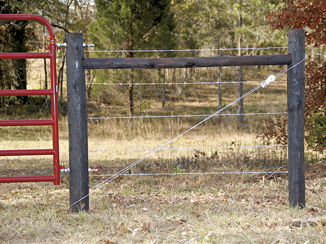 (Progressive Farmer image by Rob Lagerstrom)