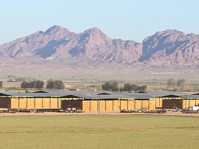 Hay in storage at Lyreedale Farms in Roll, Ariz., waits for shipment to China and other destinations. (Progressive Farmer photo by Earnie Grafton)