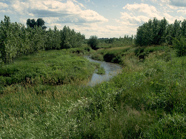 For farmland owners, conservation easements remain a viable tool. (DTN file photo)