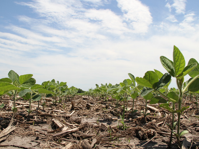 You&#039;re better off spending money on more herbicide modes of action than dumping another 10,000 soybean seeds per acre, Wisconsin agronomist Shawn Conley says. (DTN photo by Pamela Smith)