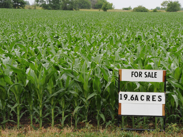 Land values are the ultimate barometer of the farm economy&#039;s financial health. (DTN photo by Pam Smith)
