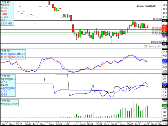 November canola ended $3 per metric ton higher this week, largely due to a move higher on Monday. The second study shows stochastic momentum indicators drifting sideways while price holds above support of $439.20/mt for the 11th week. New-crop spreads have weakened slightly this week (third study) indicating a slightly less bullish view of market fundamentals, while the lower study shows the market supported as trade volume has increased over the past four weeks. (DTN graphic by Nick Scalise)