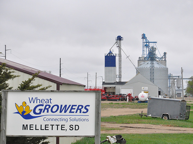 The South Dakota Wheat Growers Association grain elevator in Mellette competes with a North Central Farmers Elevator in Northville, just 4.5 miles away. Management at the cooperatives want to merge to reduce what they see as inefficient competition, but local farmers note at times one elevator might offer them a better deal over the other. (DTN photo by Chris Clayton)