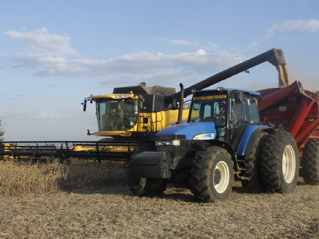 Argentine farmers have been waiting for details of the devaluation of the peso before selling their soybean stocks, which the Argentine Rural Society estimates at 15 million metric tons. (DTN file photo by Alastair Stewart)