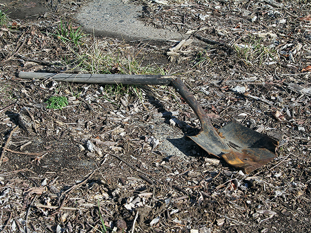 The cattle market shows some signs of bottoming. Is it time to break our shovels? (Photo by Jim, the Photographer; CC BY 2.0)