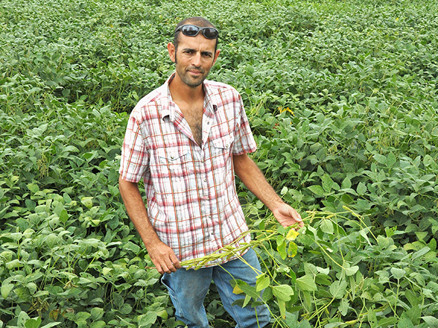 Lodging results in a 15% loss in soybean yield each year, estimates Chris Peters. He farms with his father, Greg, near DeWitt, Neb. (Progressive Farmer photo by Emily Unglesbee)