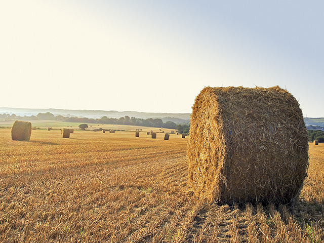 Drought recovery in many areas has led to higher stocks, brighter production prospects and moderating prices. (Progressive Farmer photo from DTN Archives)