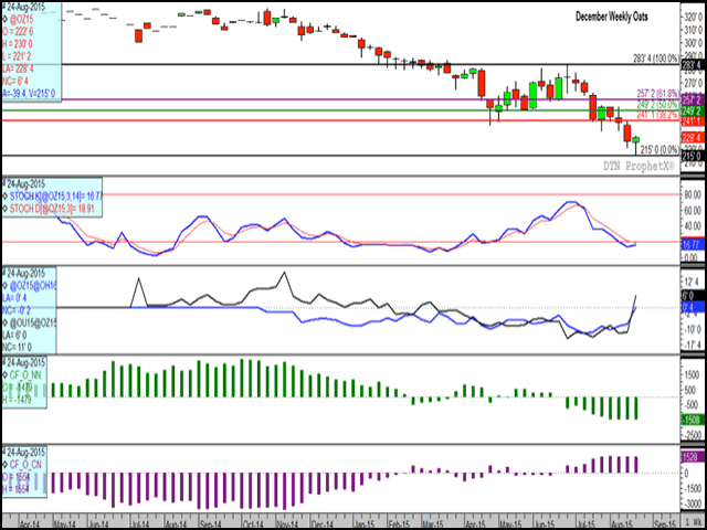 The December weekly oat chart closed higher for the first time in four weeks, with bullish commercial activity as indicated by nearby spreads moving sharply higher into inverted territory (third study). Commercial traders hold a net-long position which is nearly equal to the net-short futures position held by investors, as indicated on the two lower studies. (DTN graphic by Nick Scalise)