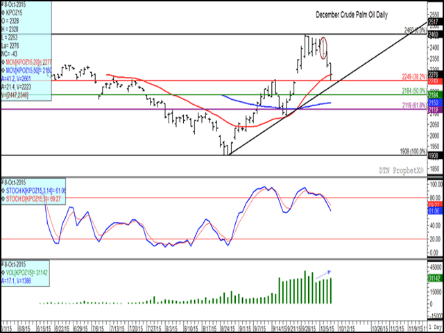 The December crude palm oil contract traded on the Bursa Malaysia Exchange rallied 29% from the Aug. 26 low to the Sept. 29 high, although is showing signs of breaking down this week on the daily chart. The middle study shows short-term momentum indicators trending lower after a bearish crossover in overbought territory, while the lower study shows the move lower taking place with increasing volume. (DTN graphic by Nick Scalise)
