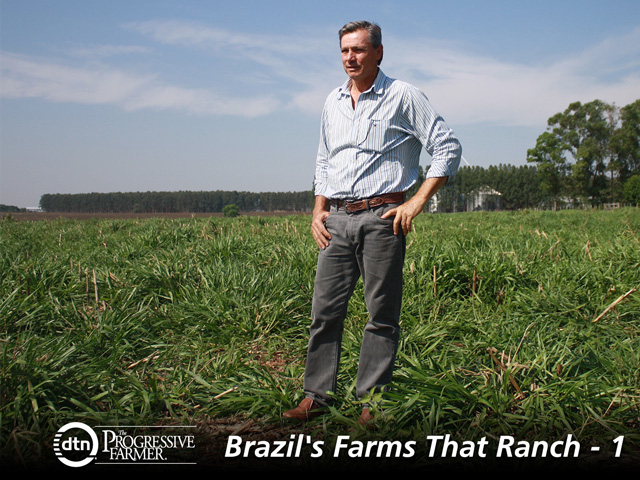 Edinaldo Mathias looks over his farm in Rancheria, western Sao Paulo. He was a pioneer of integrating soybeans and cattle, which is fast growing in popularity across Brazil. (DTN photo by Alastair Stewart)