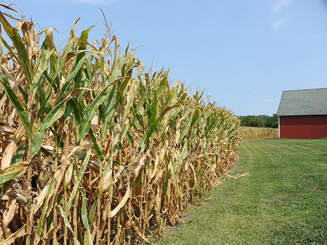 Cash rents of $350 aren&#039;t hard to get in Illinois despite pressure on growers to economize, said Farmland Partners CEO Paul Pittman. (DTN photo by Pam Smith)