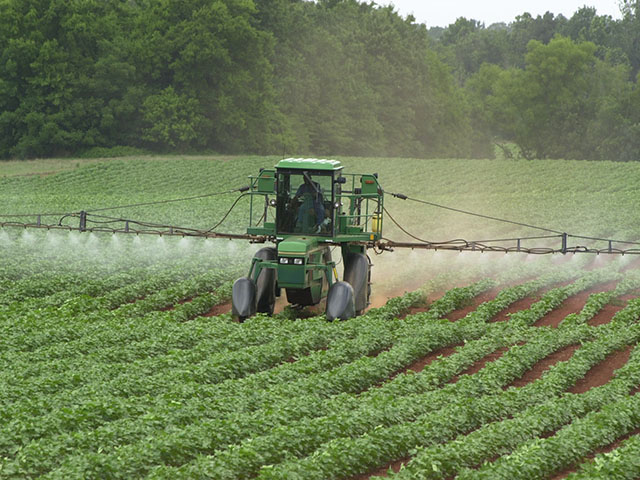 Controlling the tarnished plant bug in cotton will be more difficult in 2016, after the EPA banned sulfoxaflor, the active ingredient in Transform, a popular insecticide option for the pest. (DTN/The Progressive Farmer photo by Vann Cleveland)