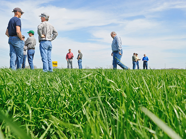 The Alliance for Grassland Renewal helps beef producers convert pastures to nontoxic grasses. (DTN/Progressive Farmer photo by Jim Patrico)