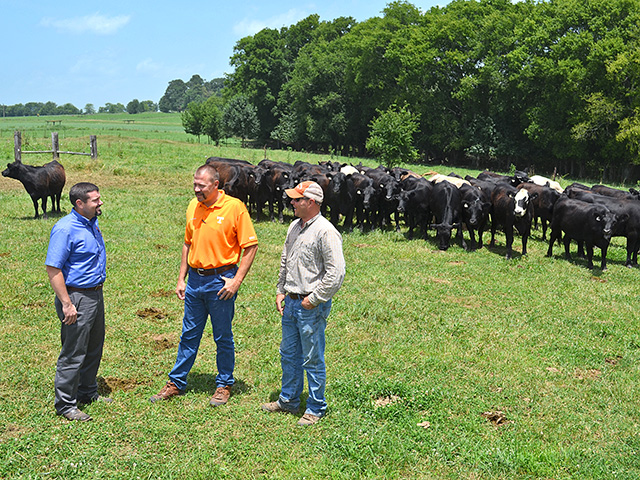 Tennessee Extension specialists want to model a heifer development program producers in the region can use to grow herds and improve profits. (DTN/Progressive Farmer photo by Victoria G. Meyers)