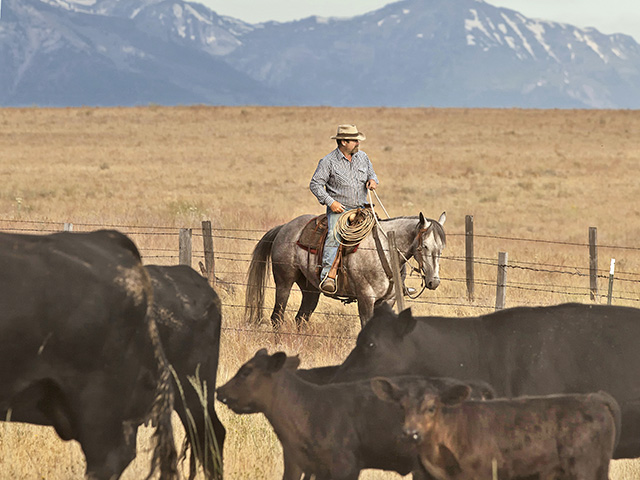 Todd Nash has hired a "range rider" to check cattle and look for predators. Nash runs cattle on 60,000 acres of public and leased land near Enterprise, Ore. (DTN/Progressive Farmer photo by Scott Baxter)
