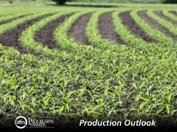 The use of Bt corn hybrids is just one of the many tools awaiting a regulatory decision from the EPA in 2016. (DTN photo by Pamela Smith)