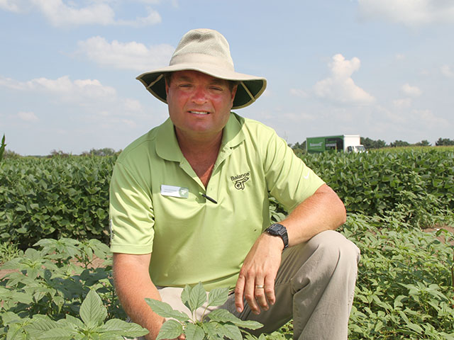 Growers new to the LibertyLink technology need to adjust their spray management, according to Bayer regional agronomist Daren Bohannan. (DTN photo by Pam Smith) 