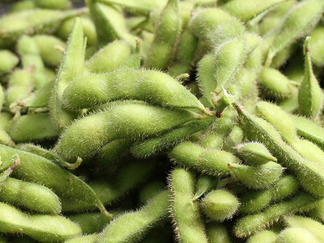Edible soybeans, like these from my central Illinois garden, are gaining acceptance and work is being done to bring them to commercial status. (DTN photo by Pamela Smith)
