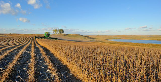 Progressive Farmer photo by Jim Patrico