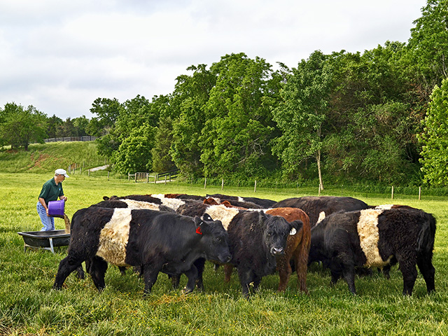 Beef customers are invited to see what goes on behind this farm&#039;s gates. (Image courtesy National Cattlemen&#039;s Beef Association)